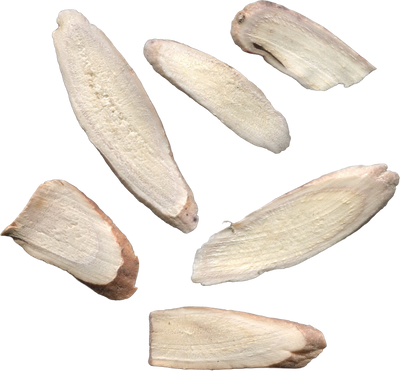 Bai Shao