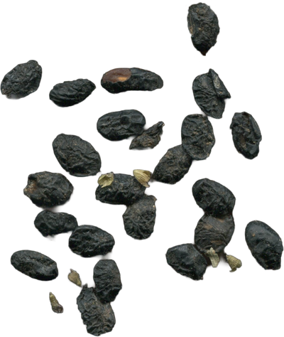 Dan Dou Chi