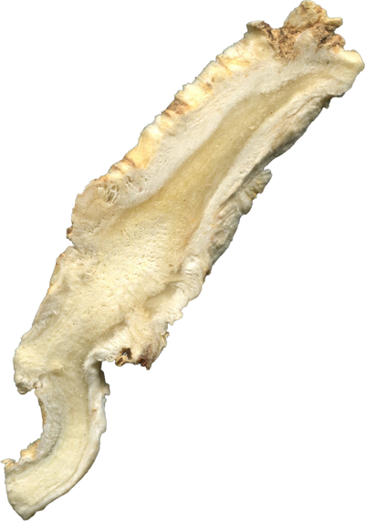 Jie Geng