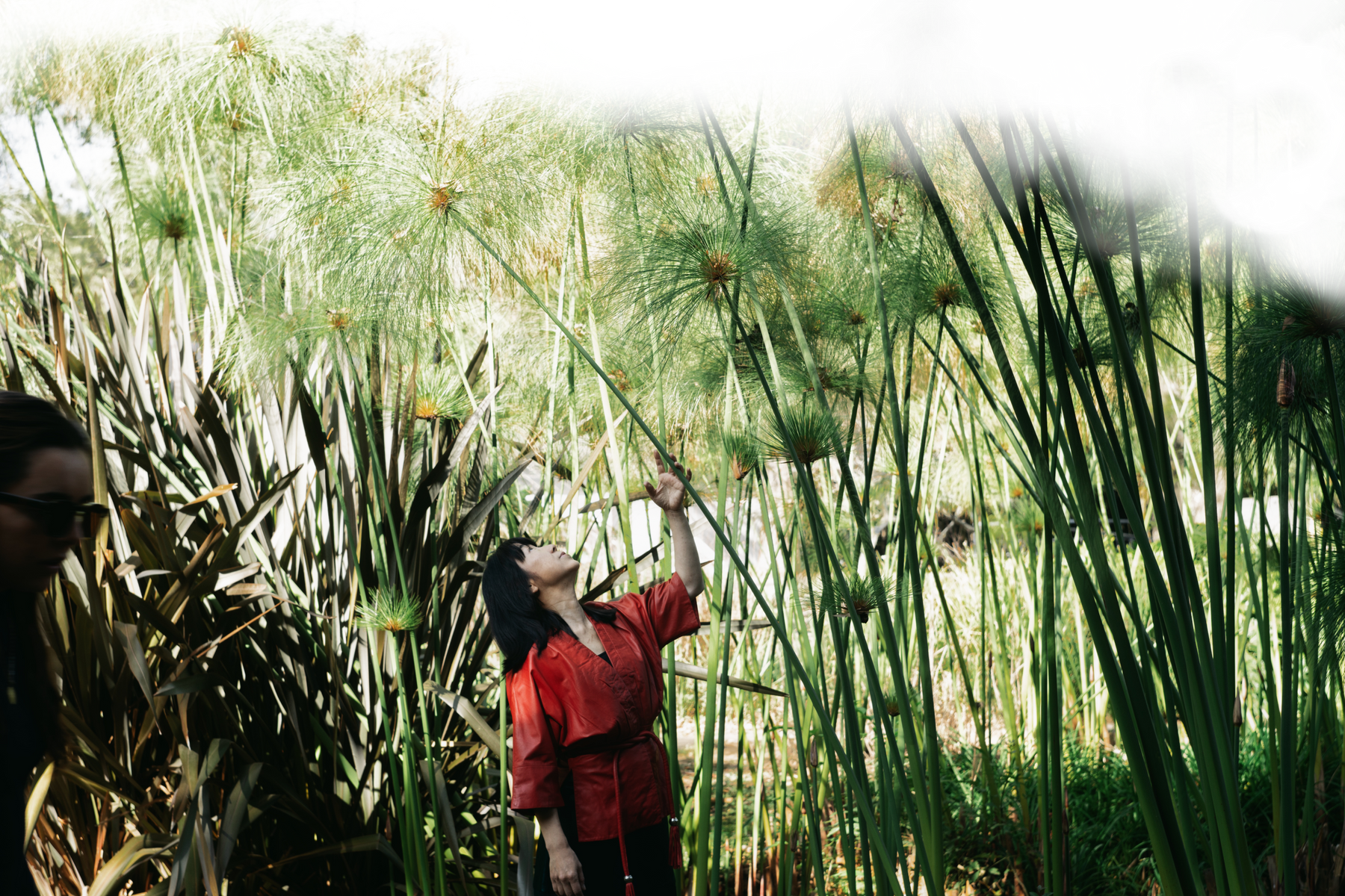 Botanical field