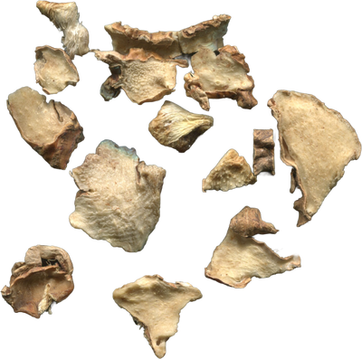 Zhi Mu