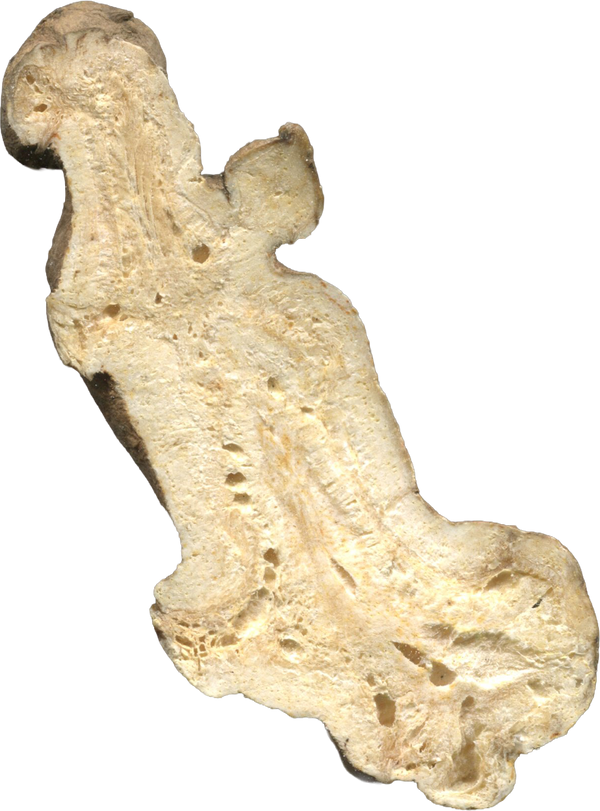 Bai Zhu